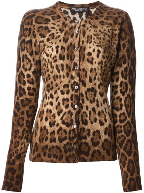 Dolce & Gabbana leopard